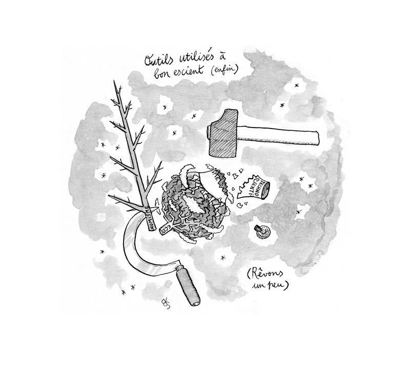 - LE BON SENS, précédé de LE CHOIX (À FAIRE) - Carnet de cambrousse- page 6