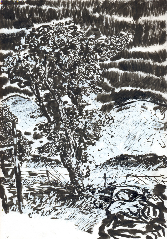 - LA DOUNE - page 20