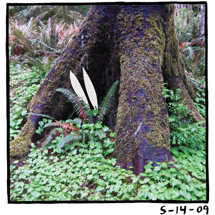 - My Life as a Bunny- page 308