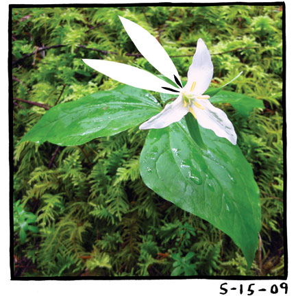 - My Life as a Bunny- page 309