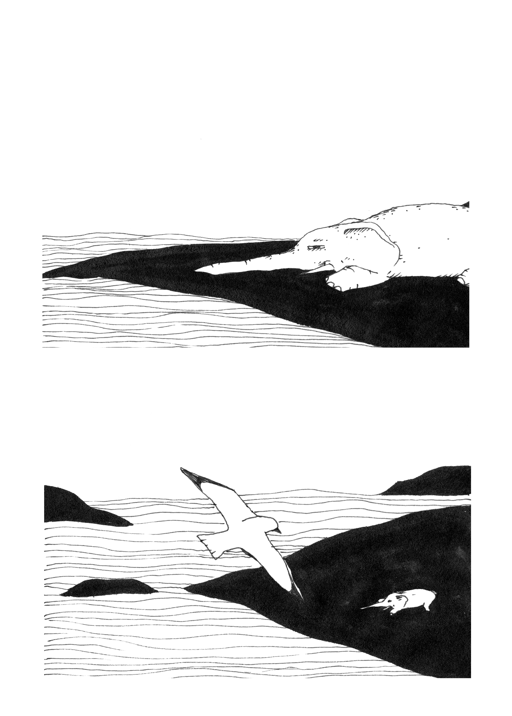 - Un éléphant se prélasse sur la plage, un oiseau passe...- page 5