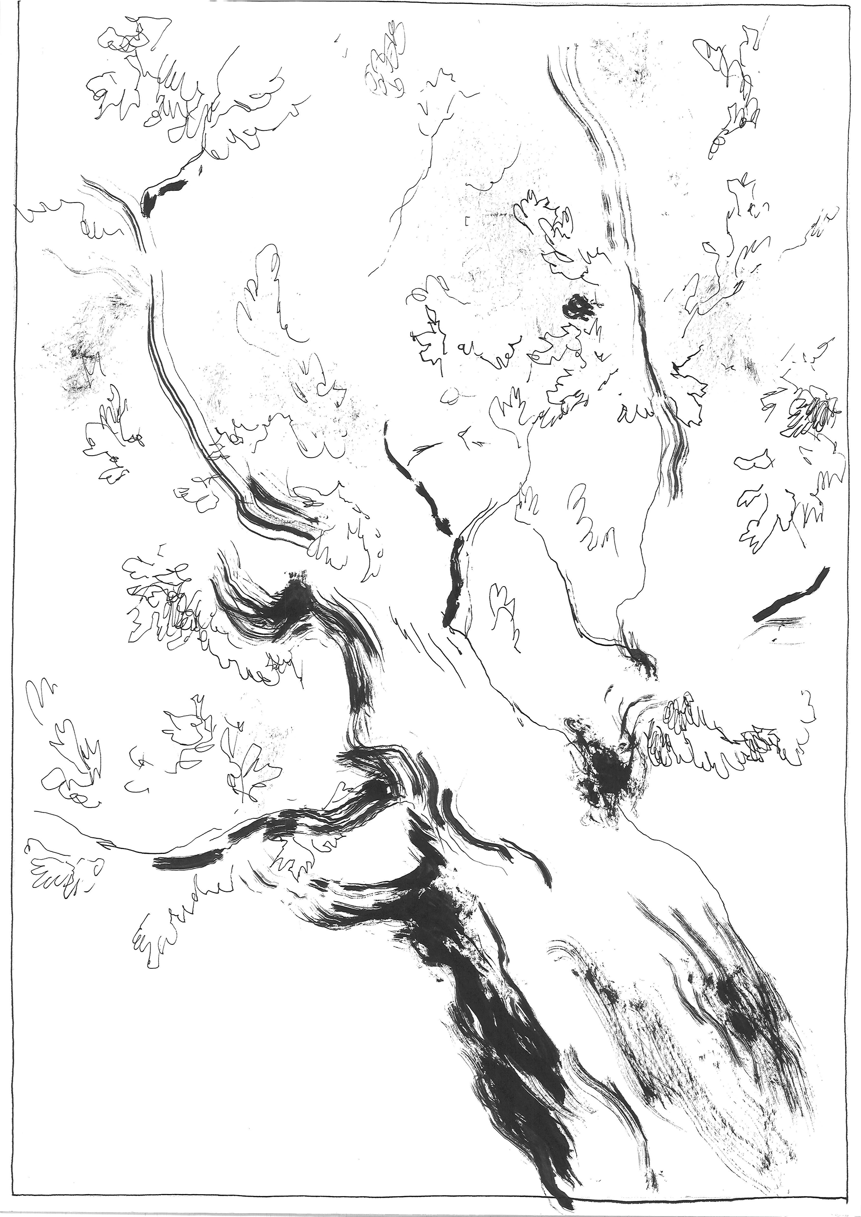 - Blurry vision- page 6