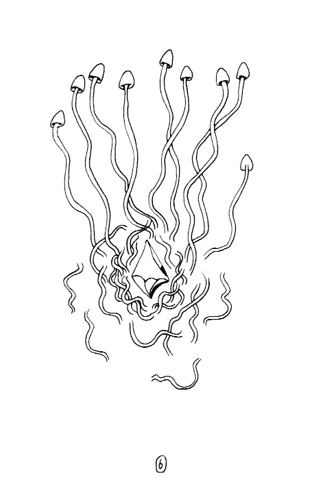 - Les lignes noires des mots de détail- page 6