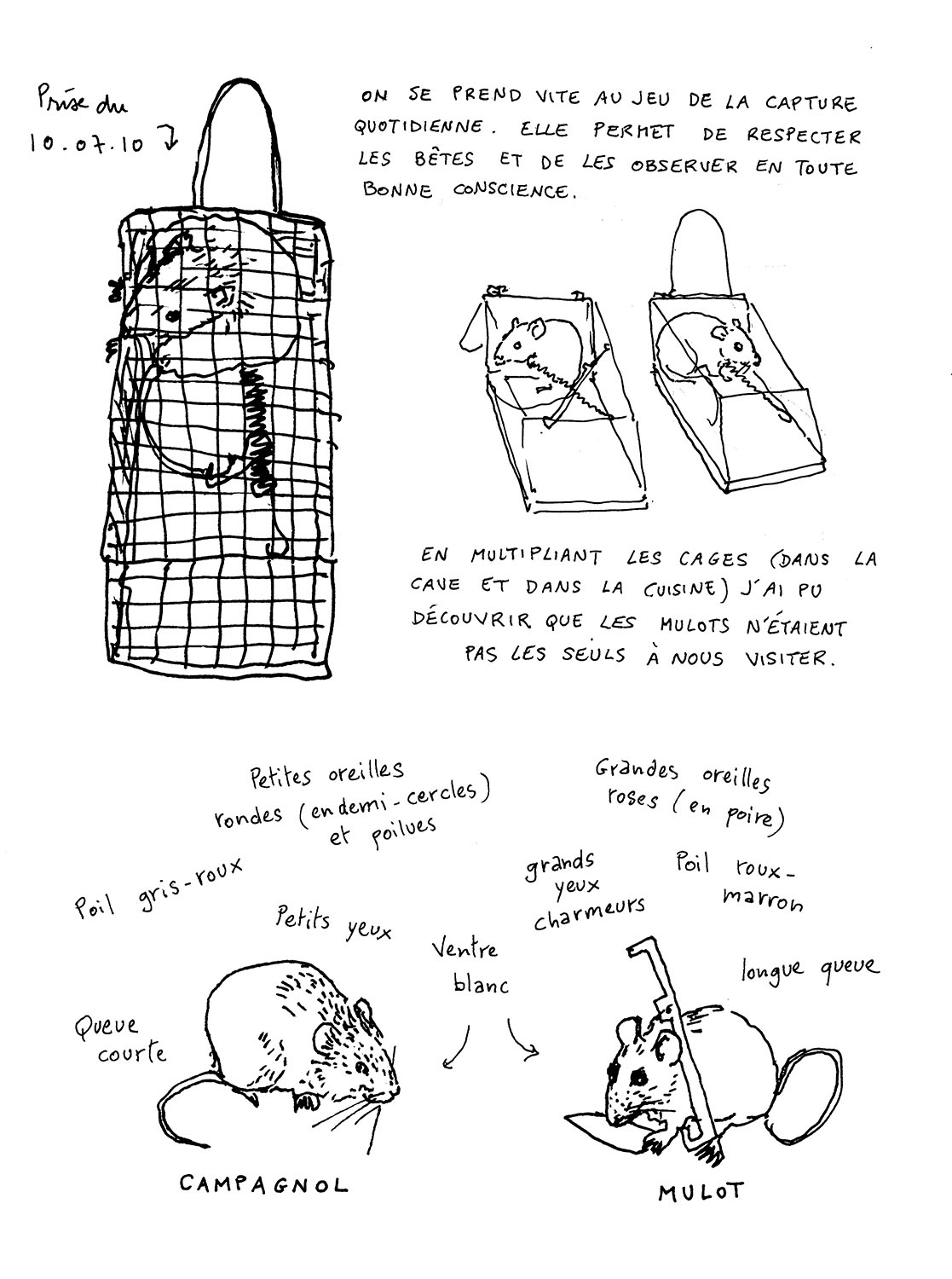 - C'est toujours ça- page 17