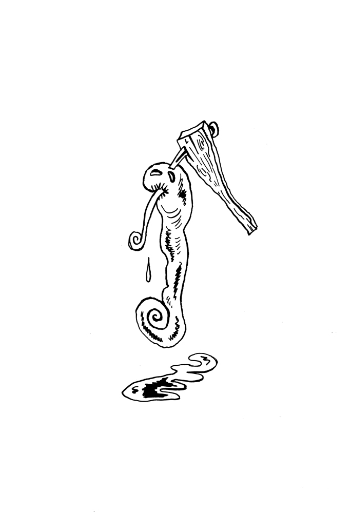 - Lourdes Coquilles- page 24