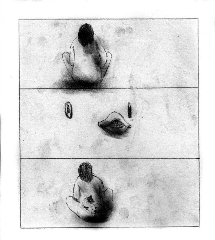 - C'est un canard explosif- page 20