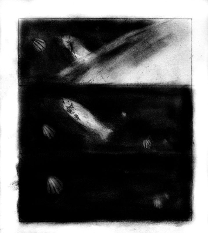 - C'est un canard explosif- page 22