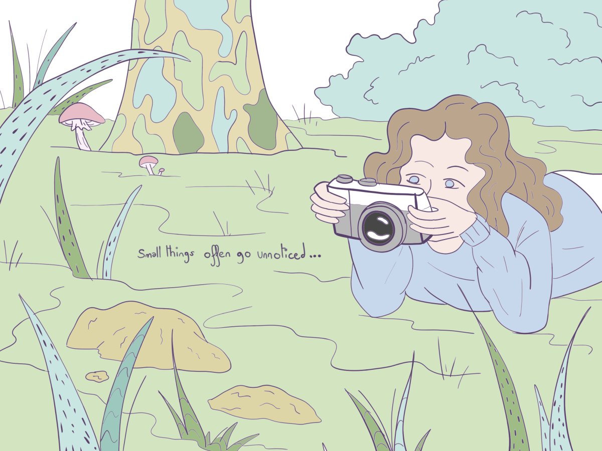 - A hidden world- page 12