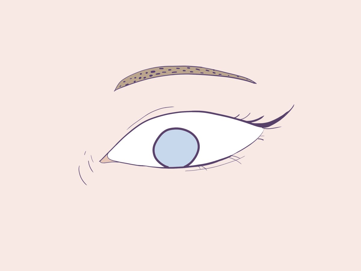 - A hidden world- page 7