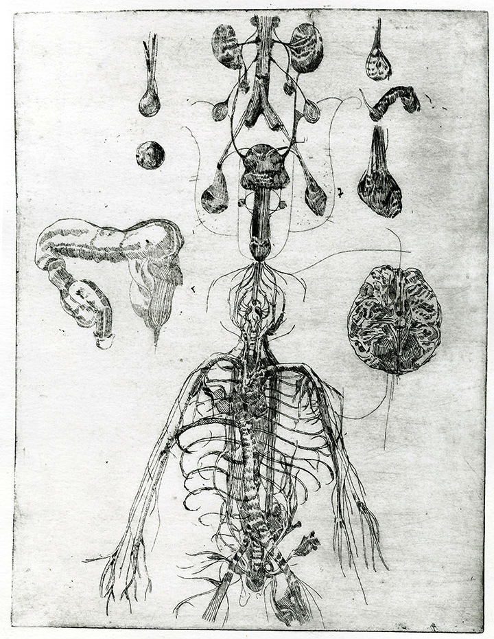 - la cohabitation des oiseaux- page 10
