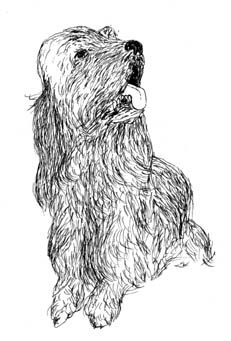 - ce que je sais- page 7