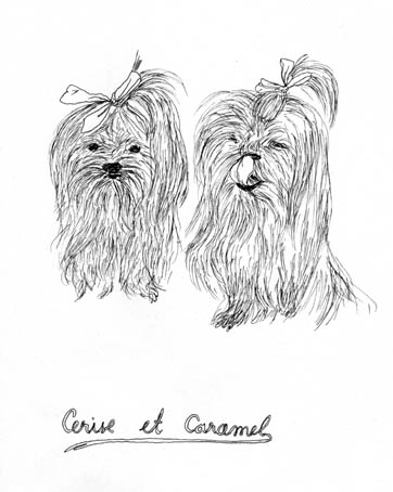 - ce que je sais- page 19