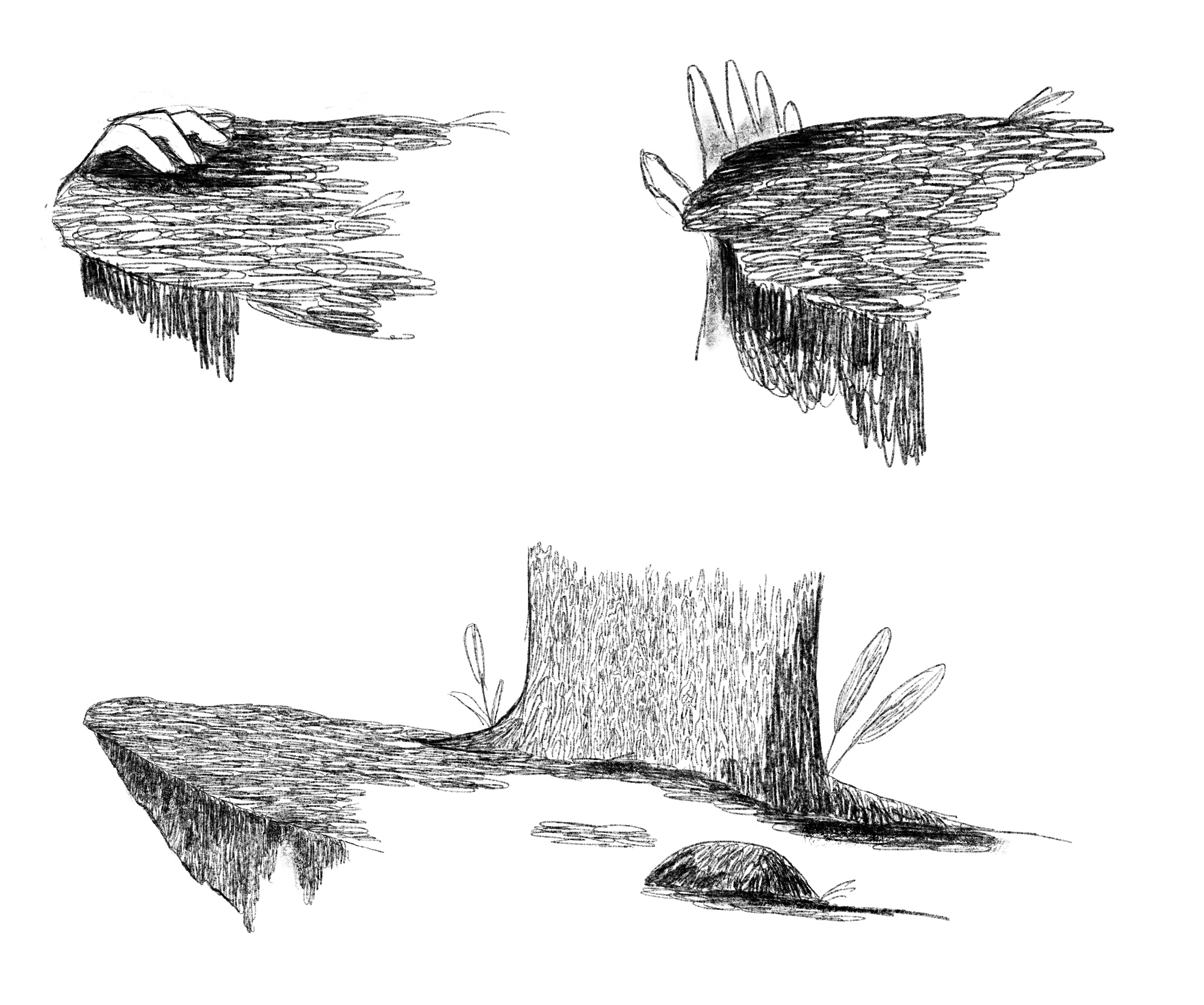 - Murmeltier- page 10