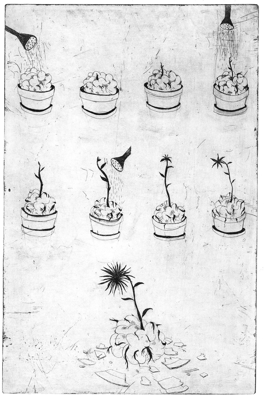 - La plante.- page 1