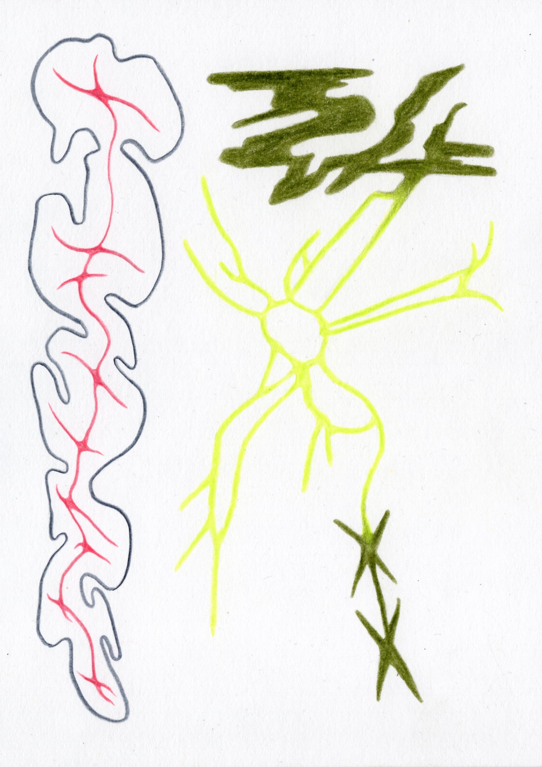 - Atlas of a fever dream - page 8