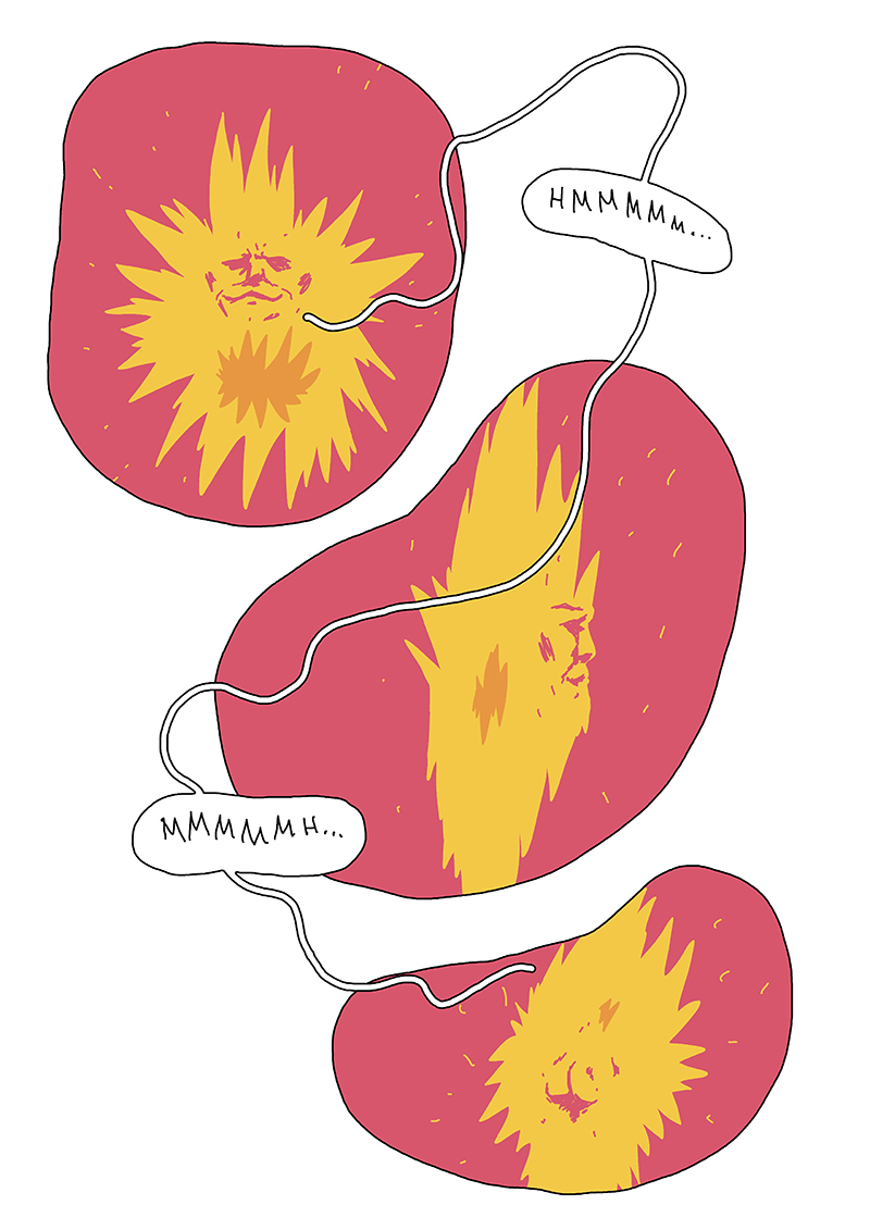 - Look at the Sun- page 21