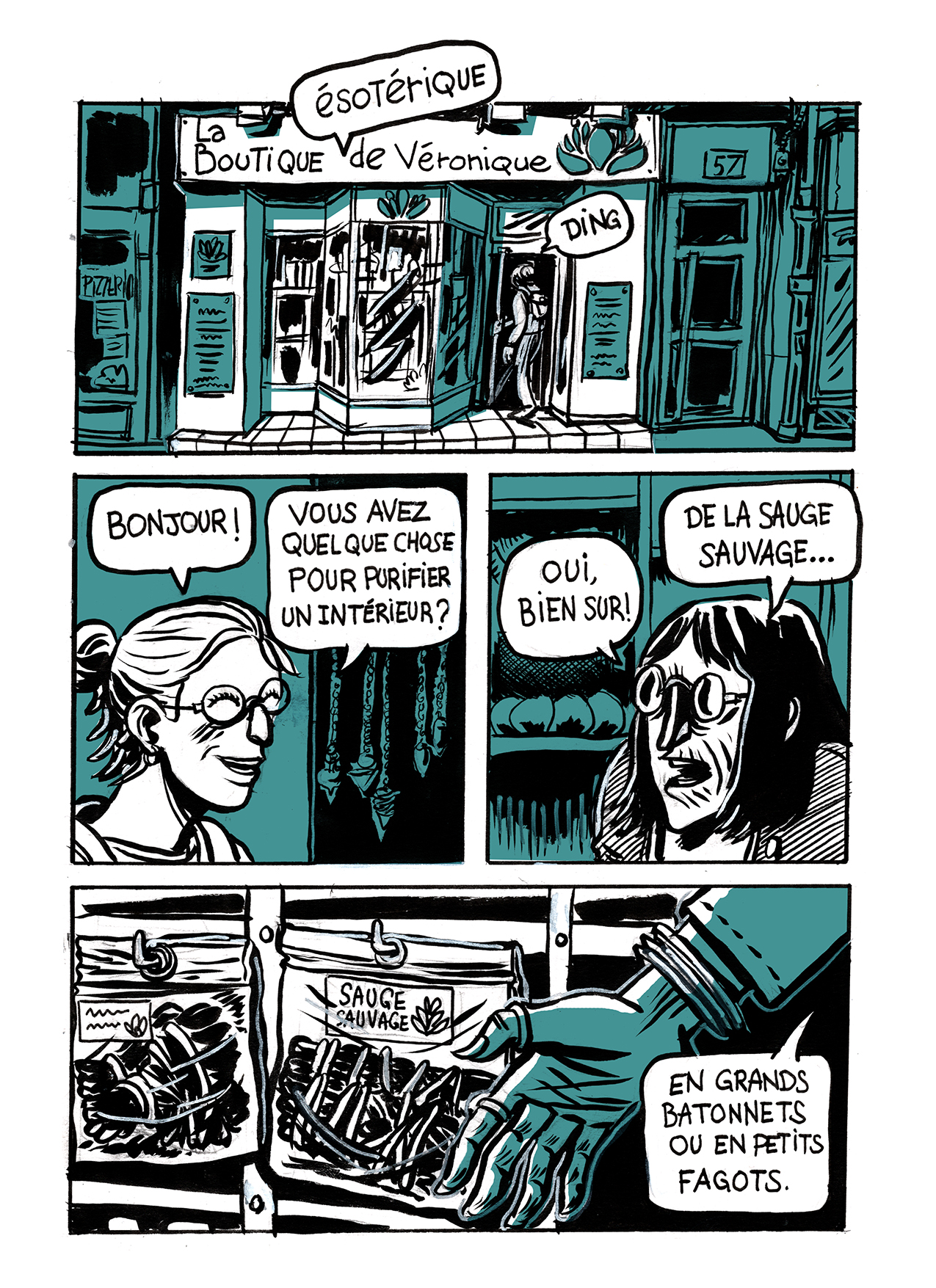 - La sauge sauvage- page 1