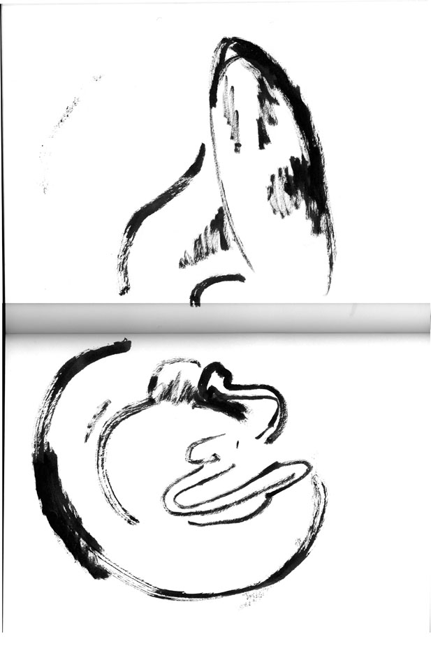 - Brass Band- page 17