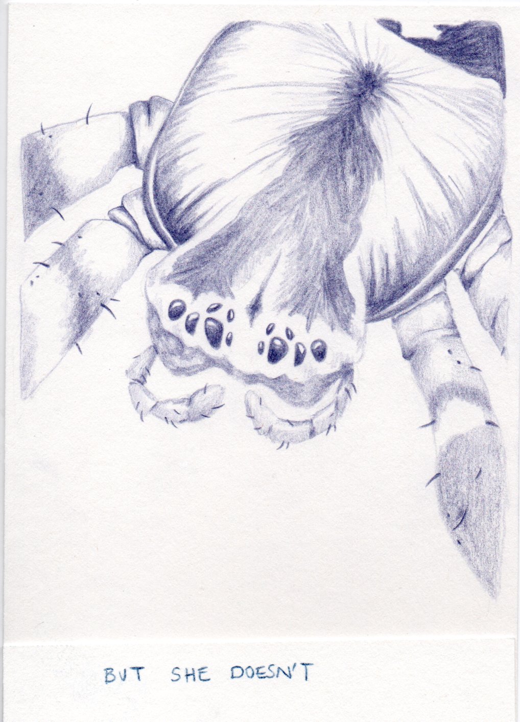 - Camera obscura- page 12