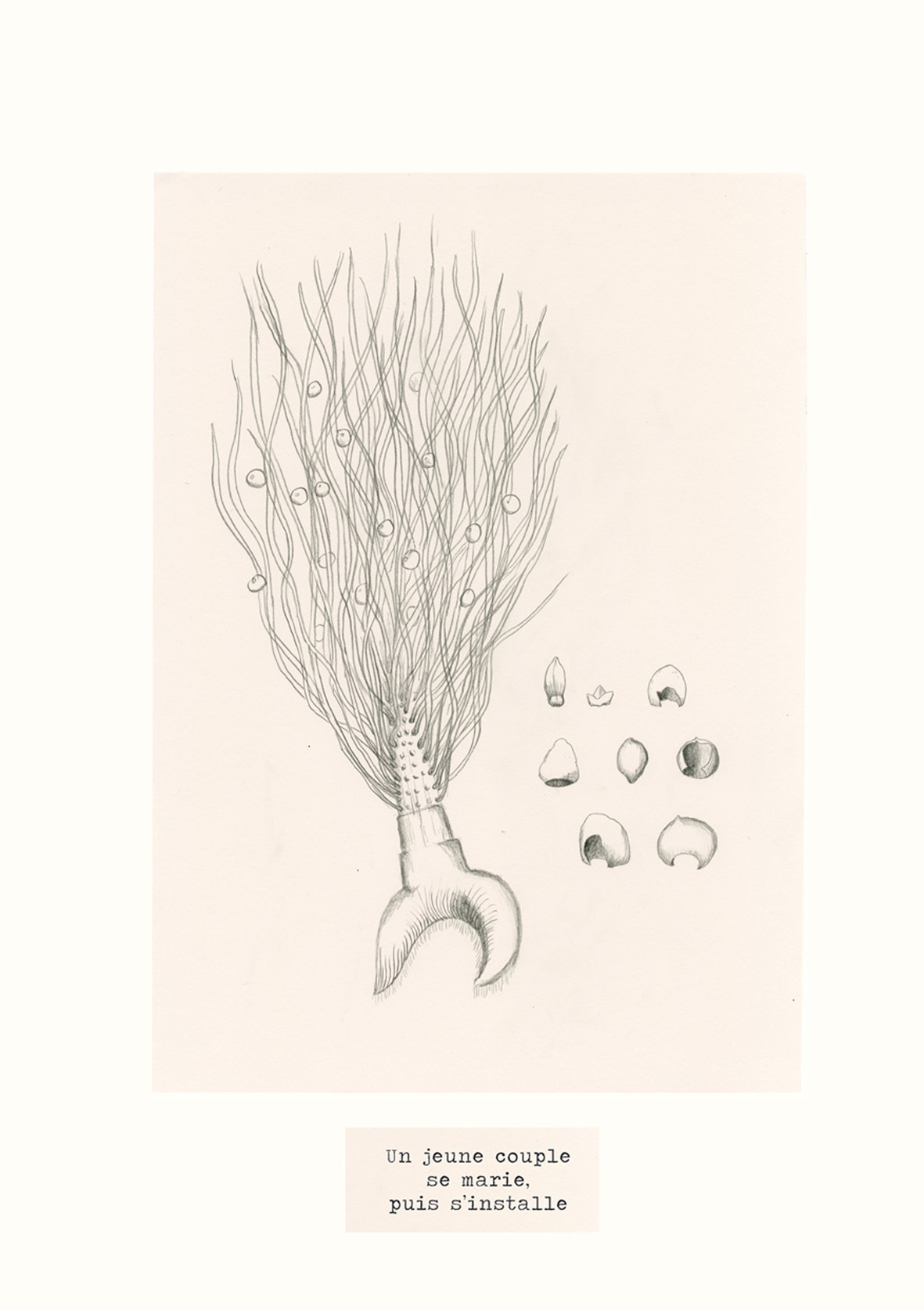 - Cette histoire ne m'appartient pas- page 2