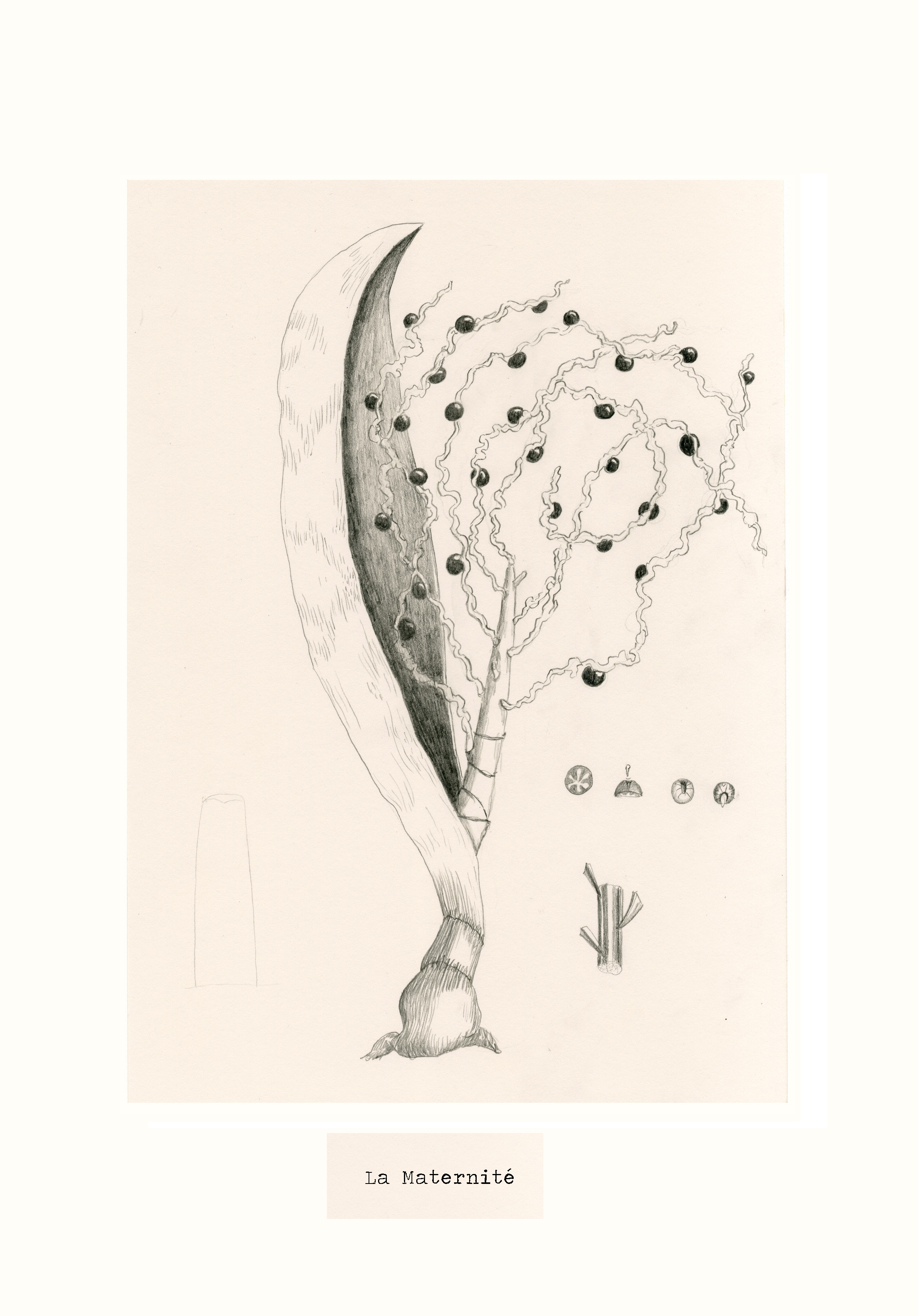 - Cette histoire ne m'appartient pas- page 54