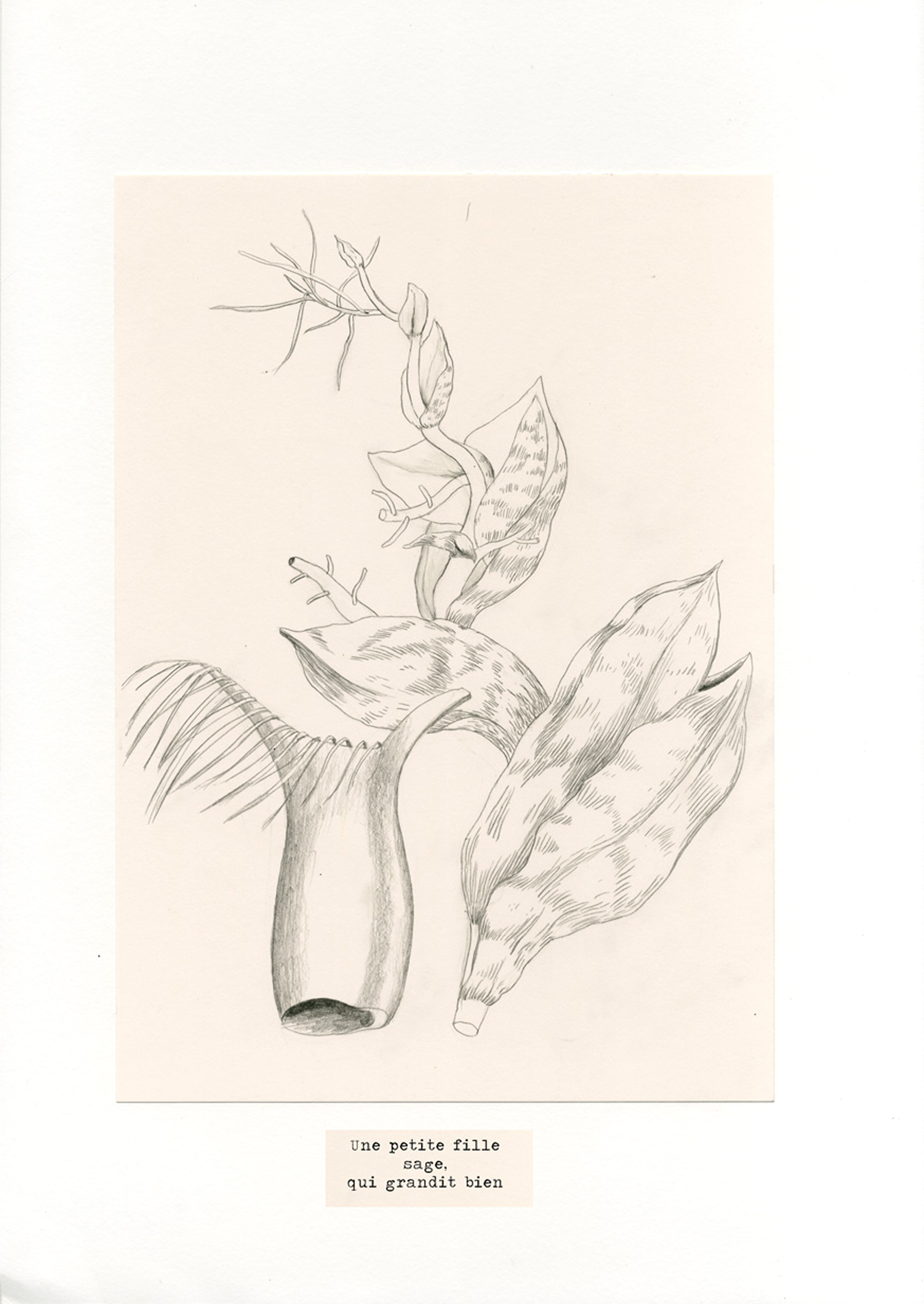 - Cette histoire ne m'appartient pas- page 7