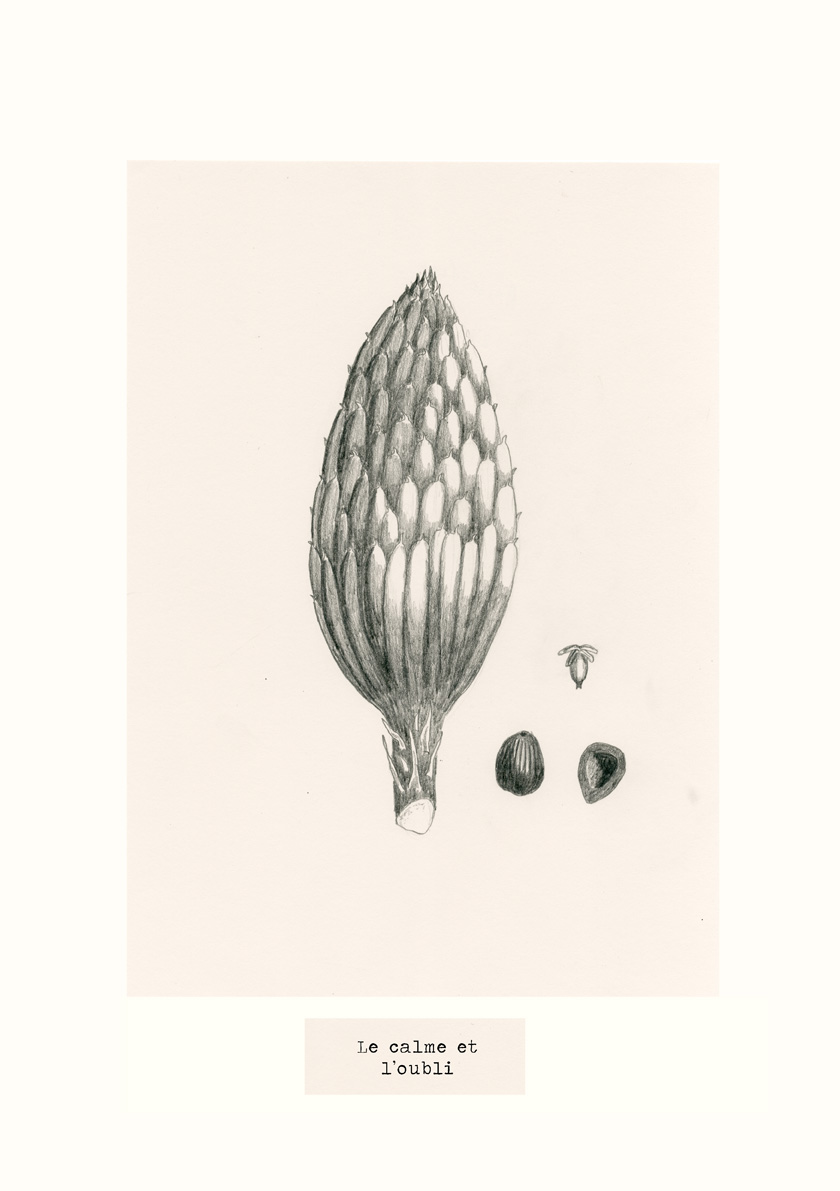 - Cette histoire ne m'appartient pas- page 34