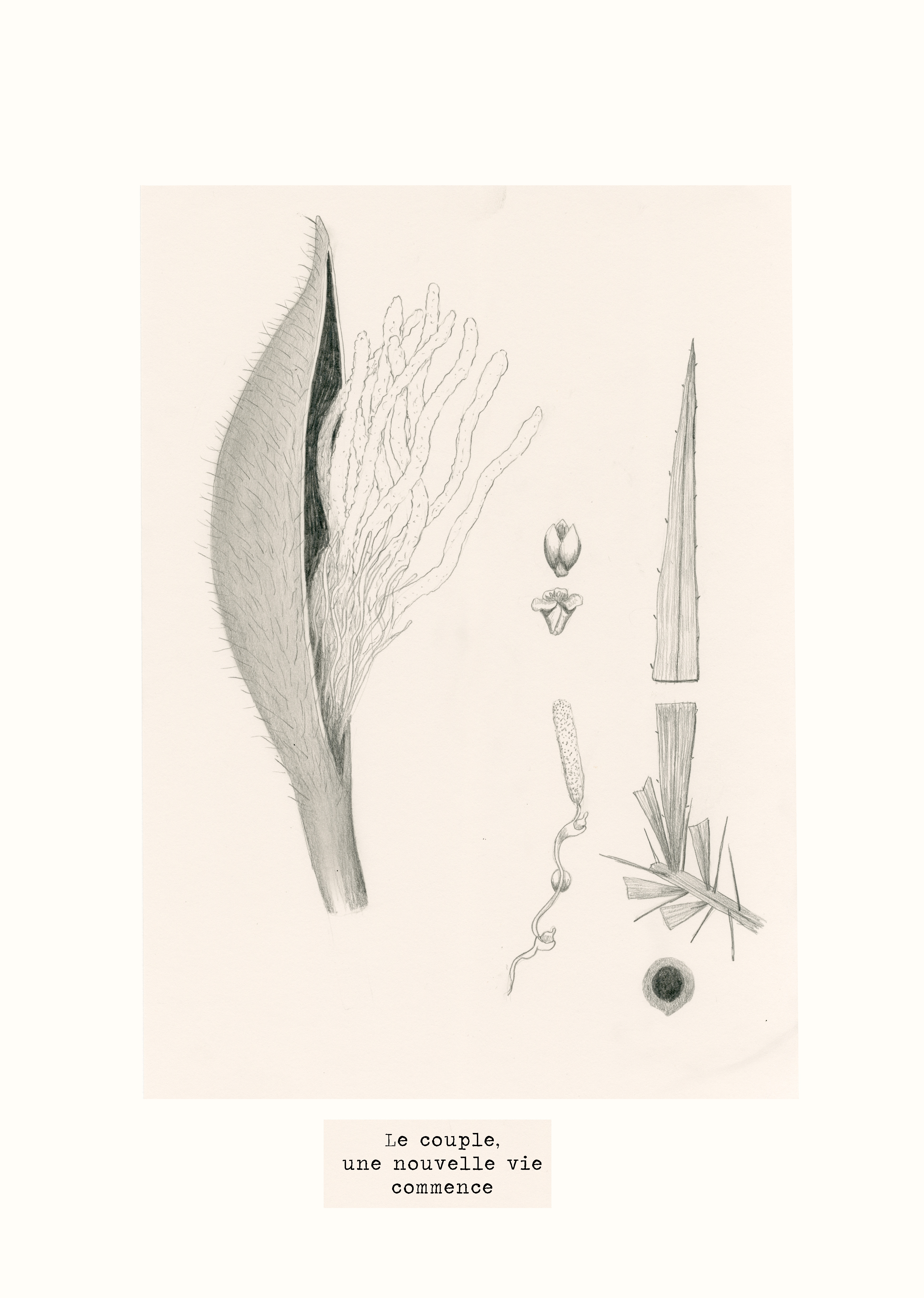 - Cette histoire ne m'appartient pas- page 37