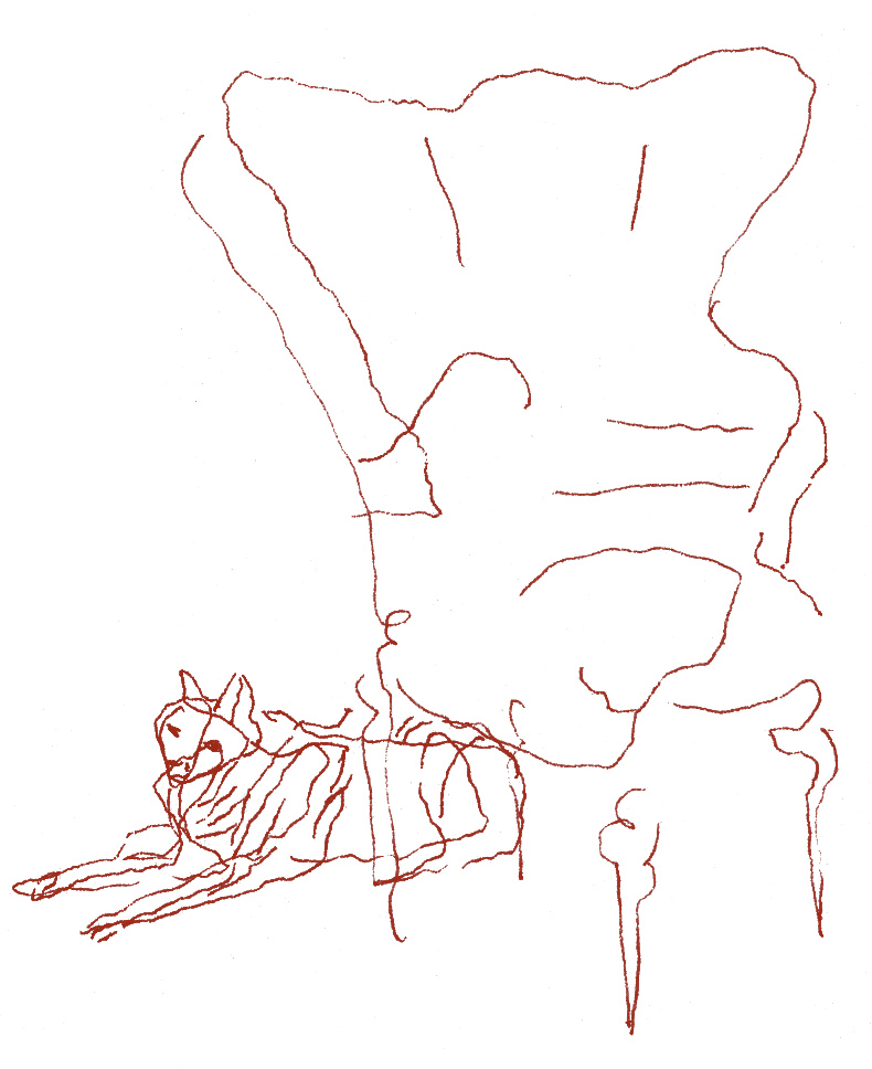 - un poumon, le dessin- page 112