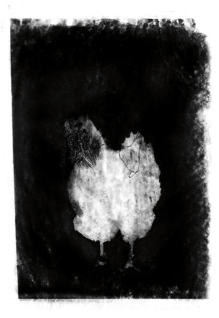 - CINEMA ROSE- page 17