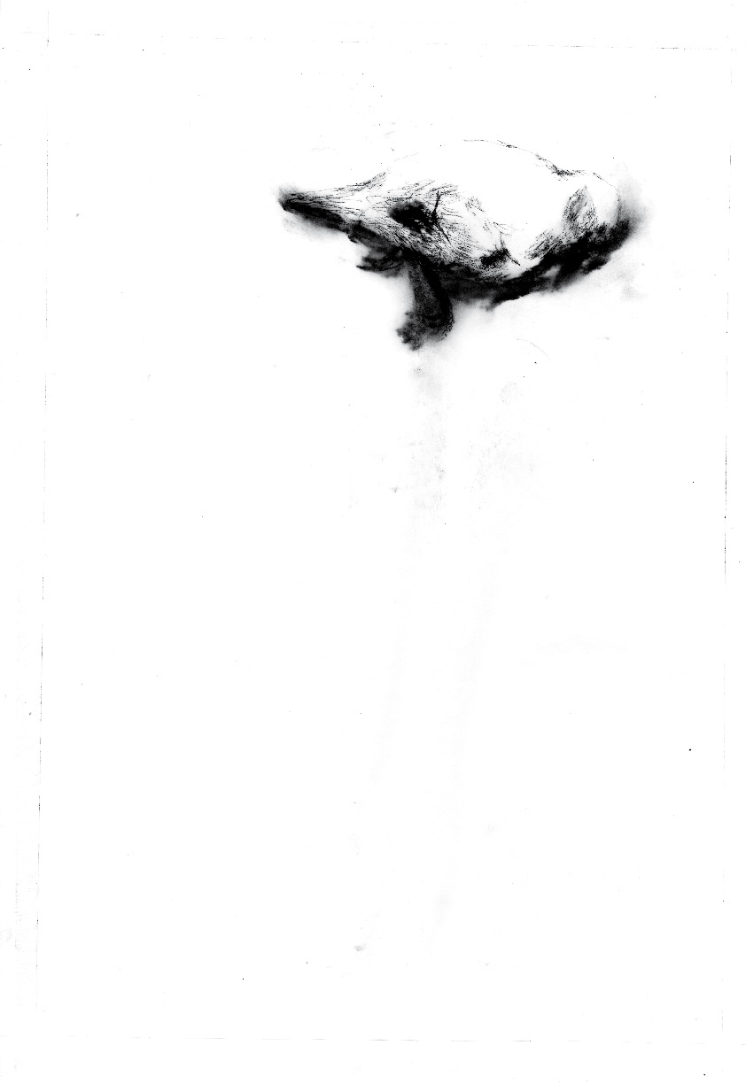 - CINEMA ROSE- page 24