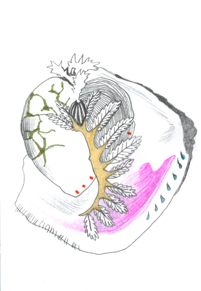 - ZoZiothérapy- page 16