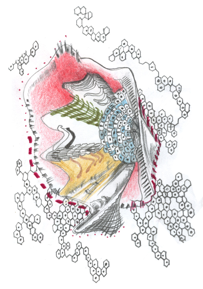 - ZoZiothérapy- page 21