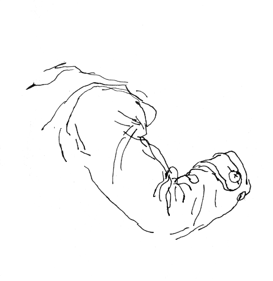 - Connection visuelle- page 63