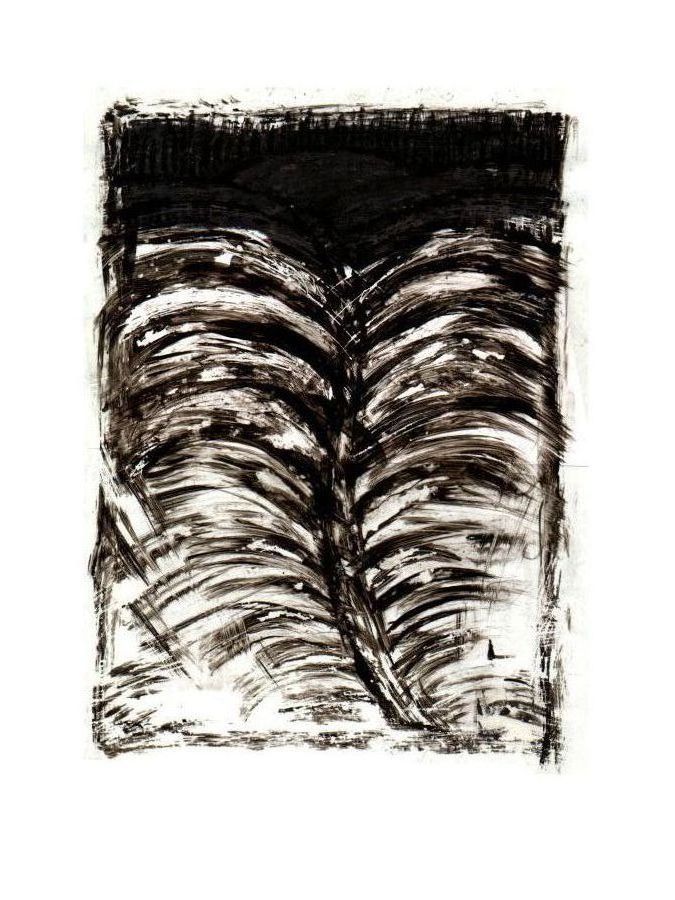 - La muraille d'échine / face a- page 12