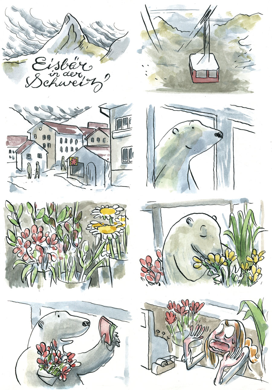 - Eisbär in der Schweiz- page 1