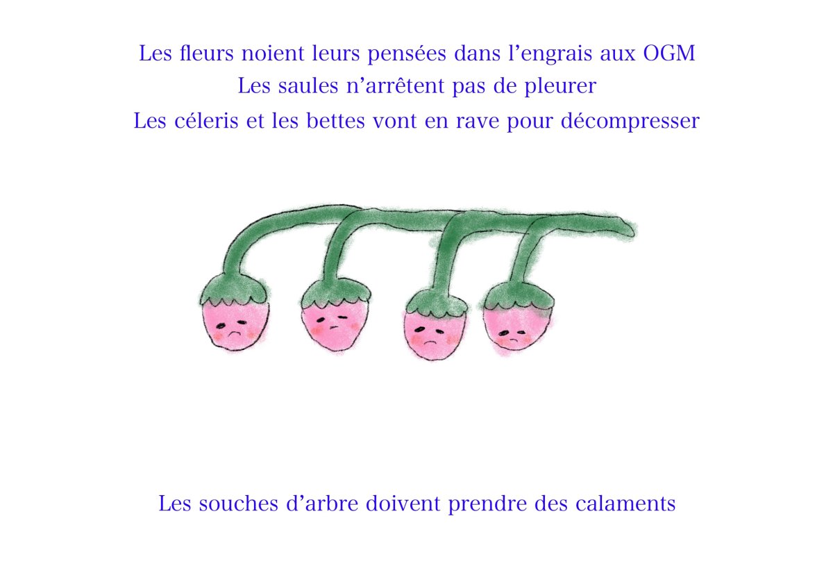 - Le JT médicinal pour le vivant- page 10