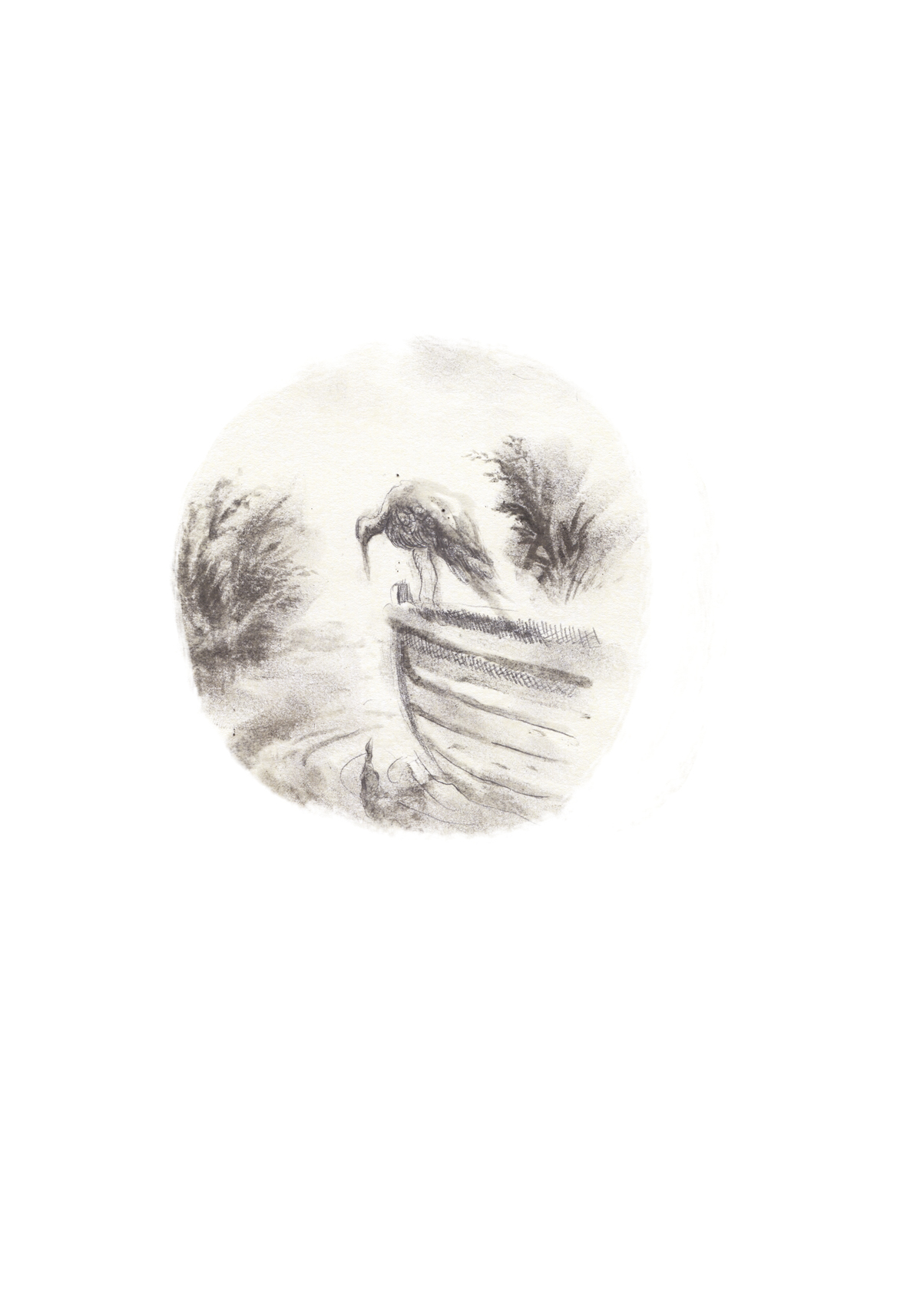 - J'ai vu un truc- page 23