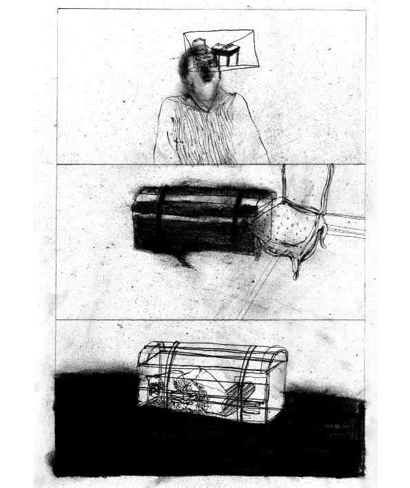 - Les fourmis en Avril- page 2