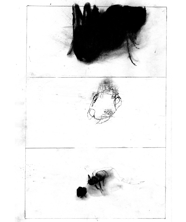 - Les fourmis en Avril- page 4