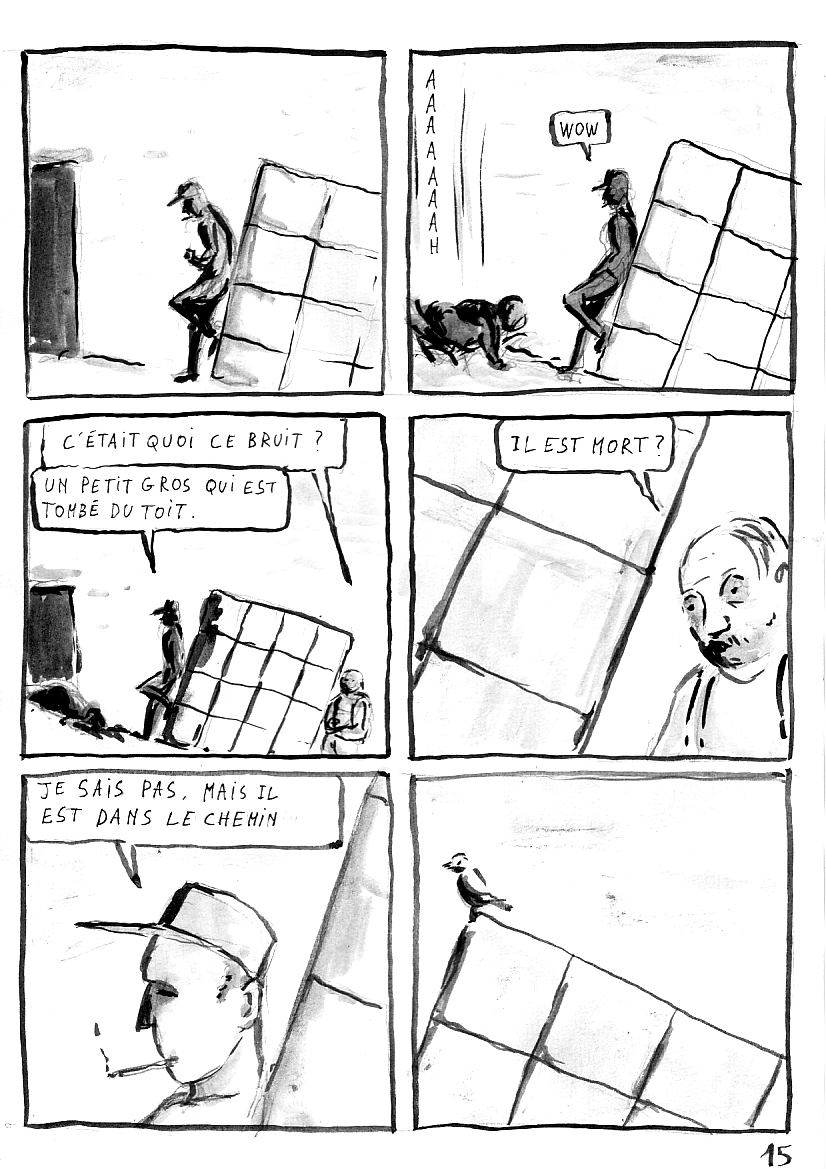 - Le royaume des oiseaux- page 15