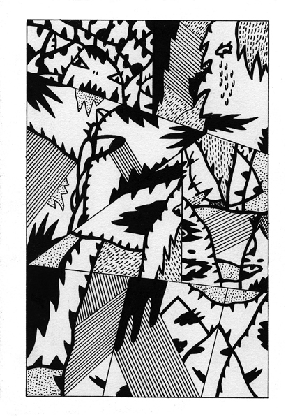 - geometric (d)evolution- page 20