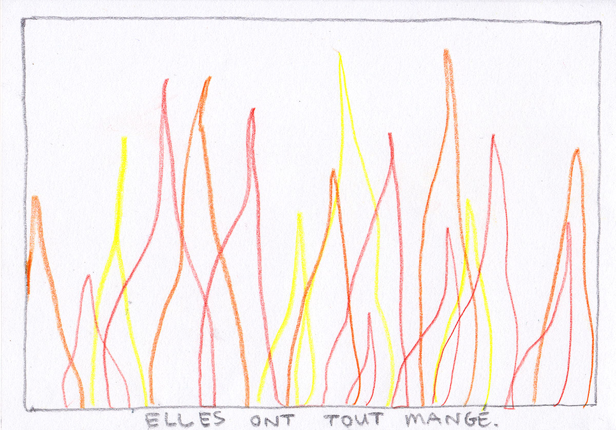 - Brouillard- page 13