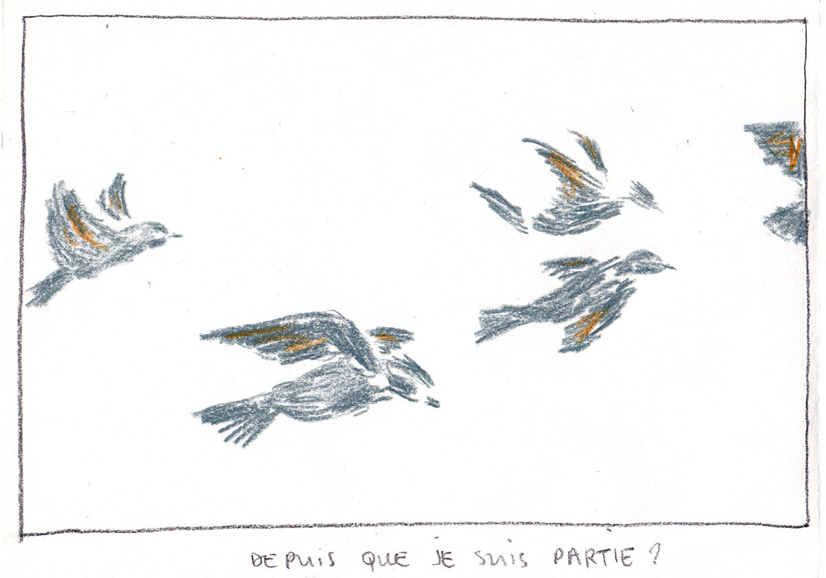 - Brouillard- page 22