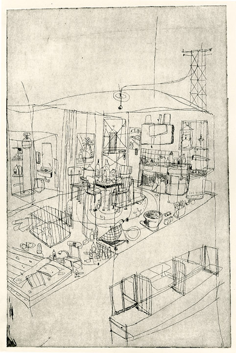 - la cohabitation des oiseaux- page 4