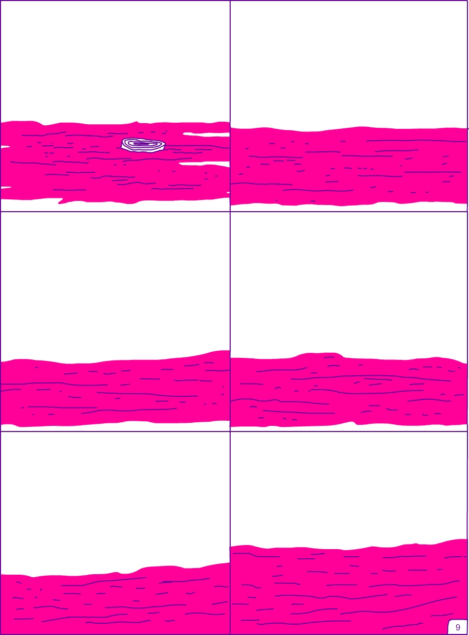 - Griffou #2- page 9