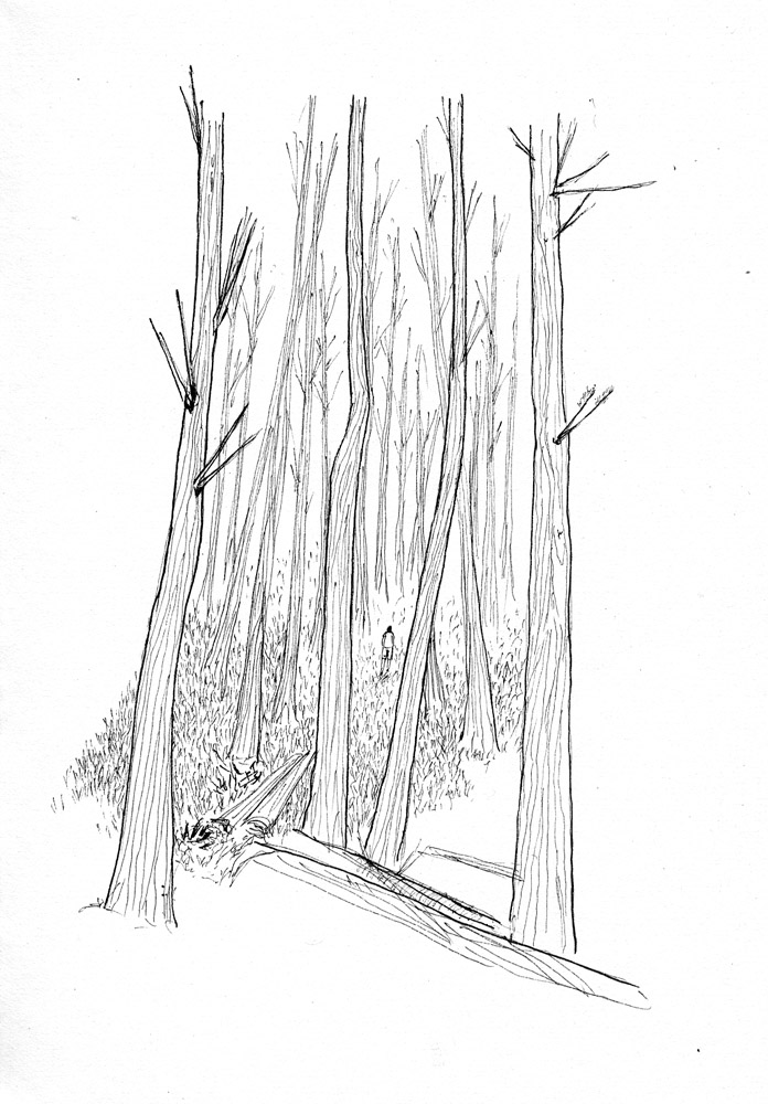 - Nōku Tēnā Whenua- page 8