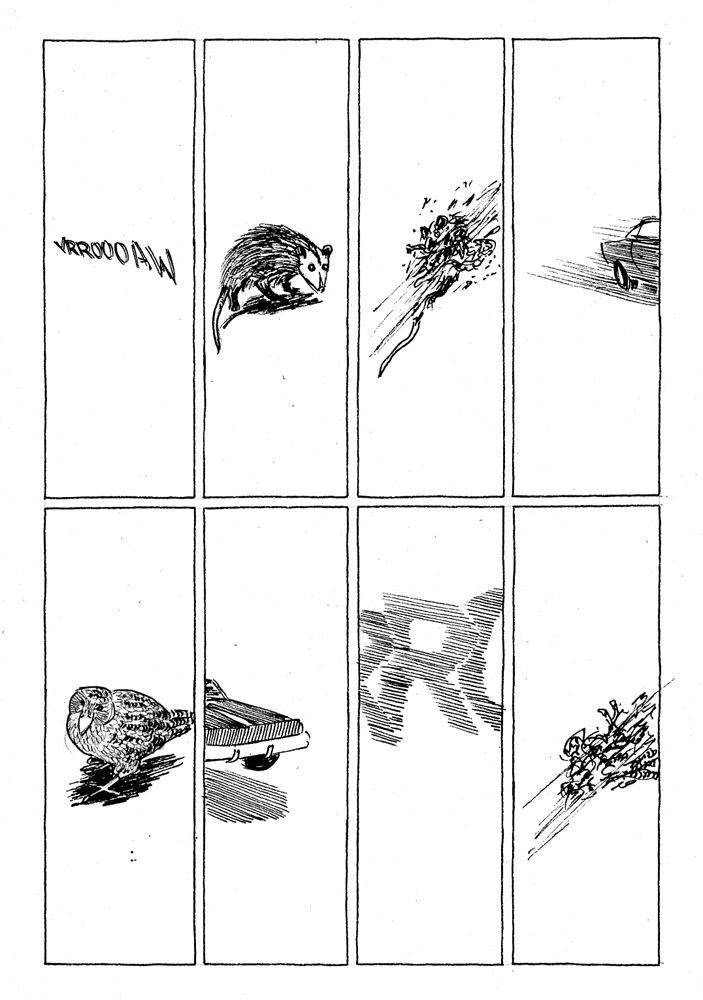 - Nōku Tēnā Whenua- page 12