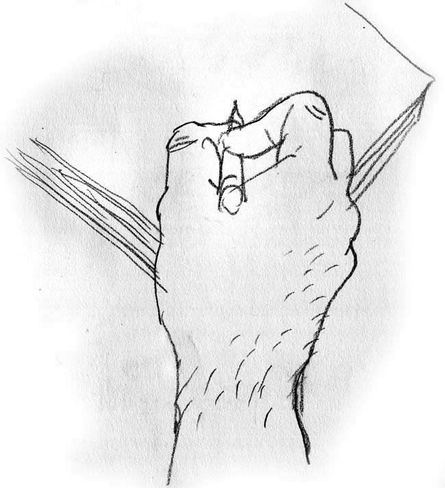 - L'infiltration- page 23