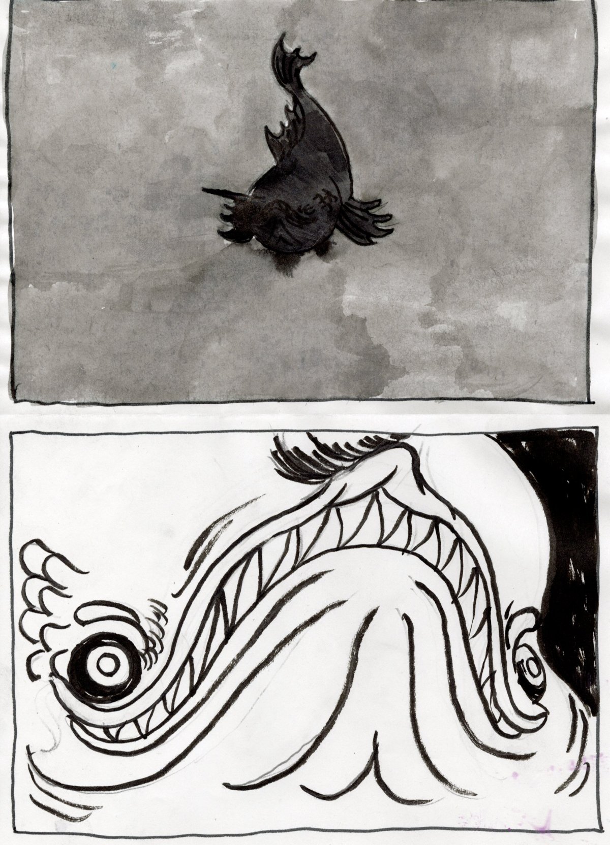 - Quoi de neuf dans le benthos ?- page 8